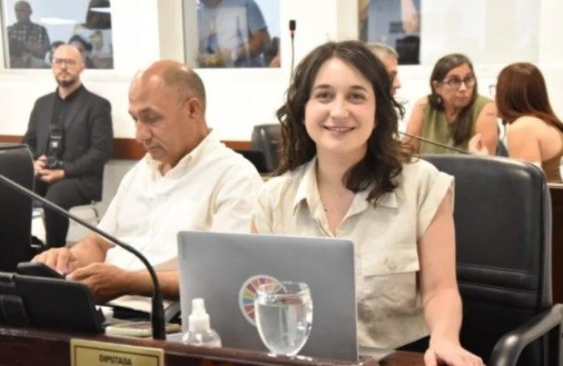 Proponen en la Legislatura provincial una ley para prohibir la pirotecnia con ruido