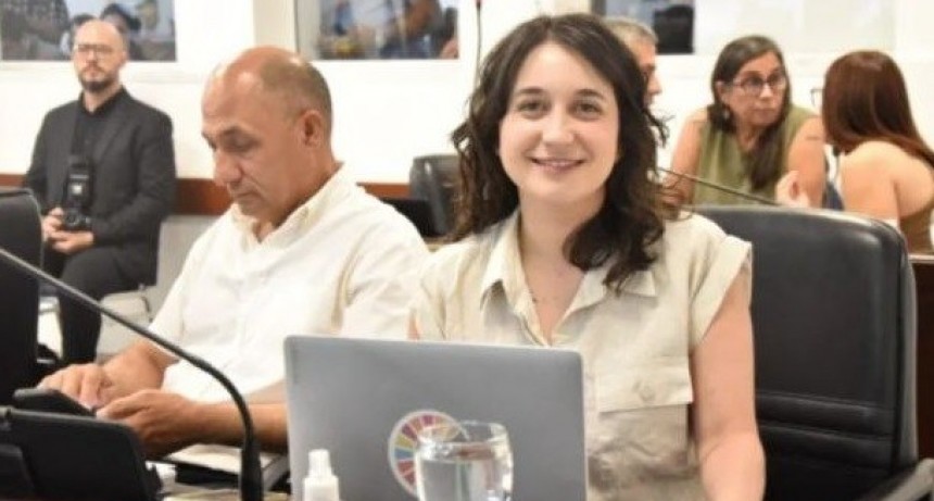 Proponen en la Legislatura provincial una ley para prohibir la pirotecnia con ruido